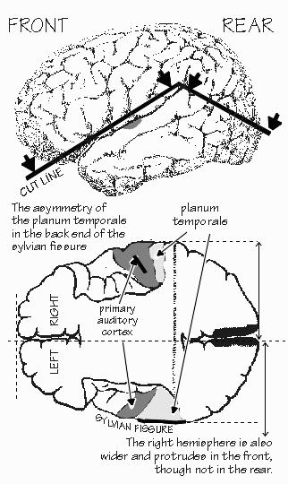 bk7p41.jpg 104.2 K