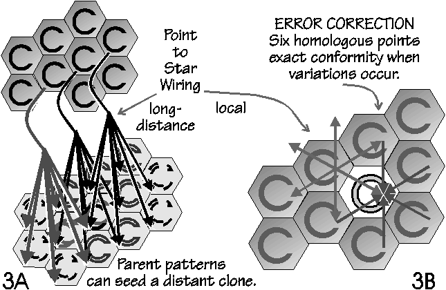point to star 
projections