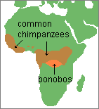 map by Dennis O'Neil