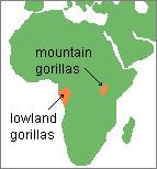 map by Dennis ONeil