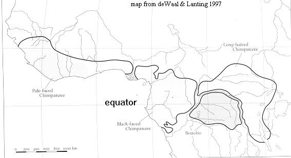 Chimp/bonobo map